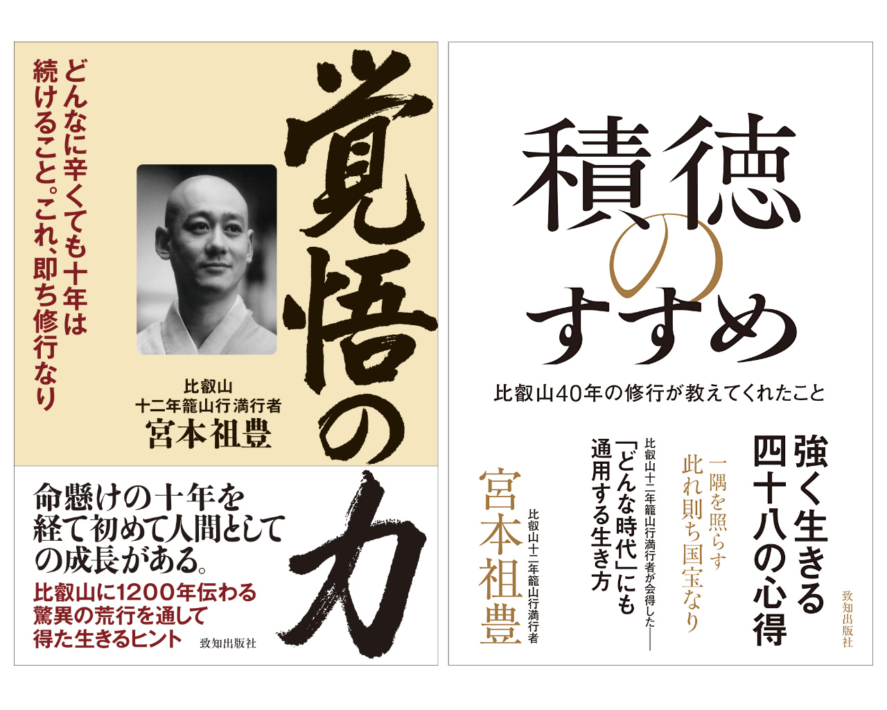 仏教の事典(末木文美士, 下田正弘, 堀内伸二 編集) / 古本、中古
